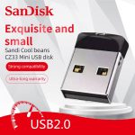 Sandisk Mini USB Flash Drive