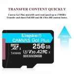 Original Kingston Canvas Go! Plus