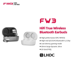 FiiO FW3 LDAC True Wireless